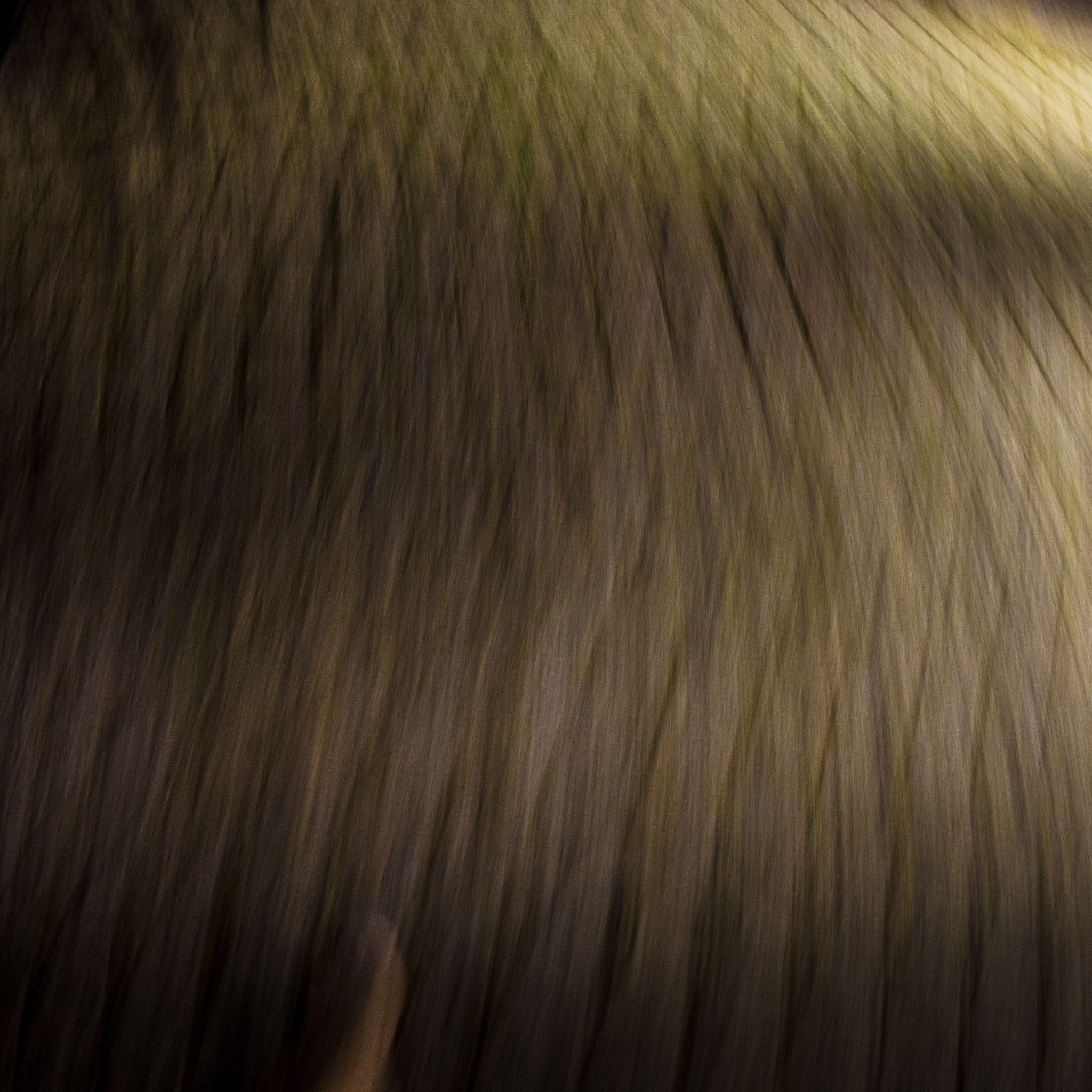 20220813230616 R5D 7369